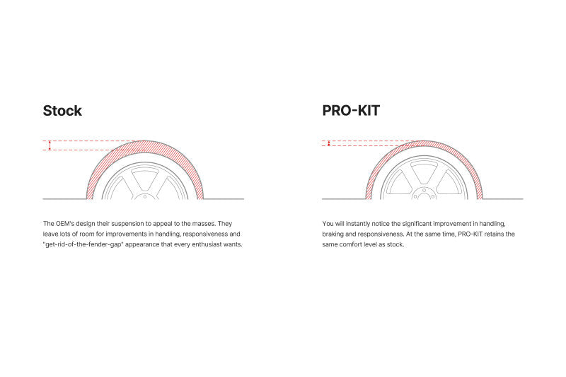 Eibach Pro-Kit EV für 24-25 Tesla Model Y RWD