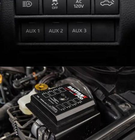 Photo - Close Up