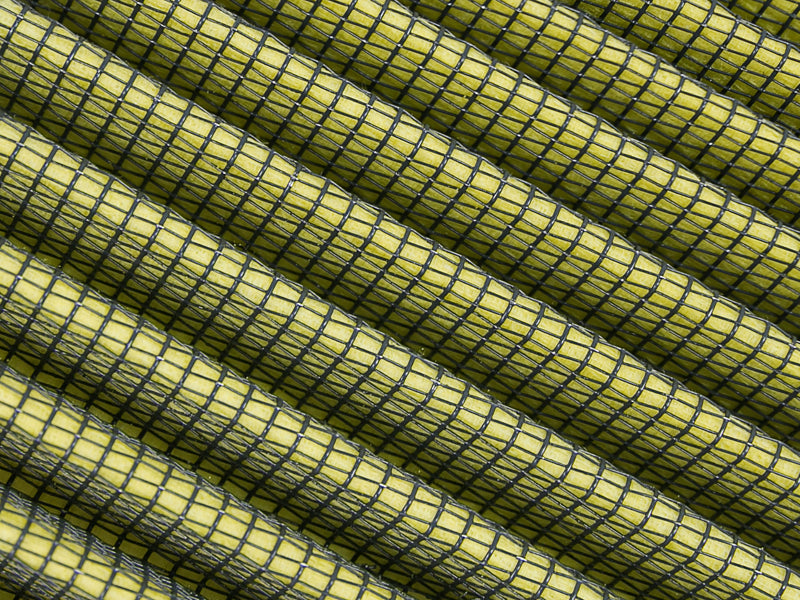 Photo - Close Up