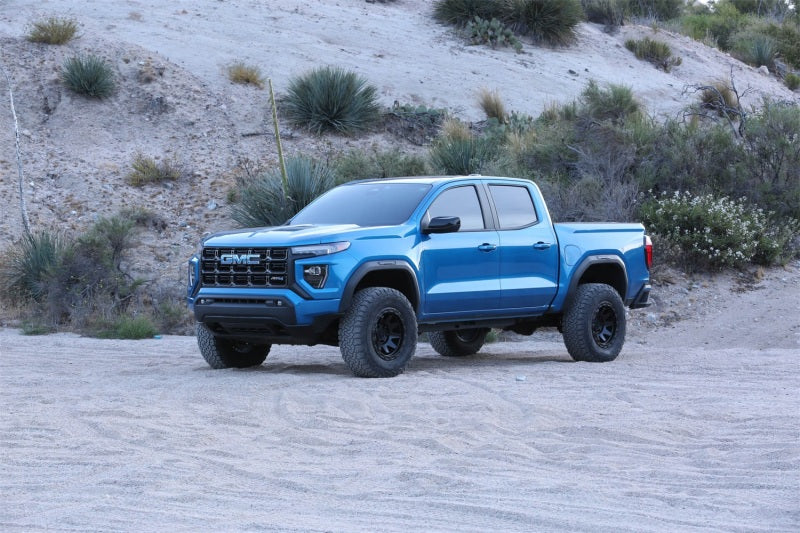 Photo - Mounted