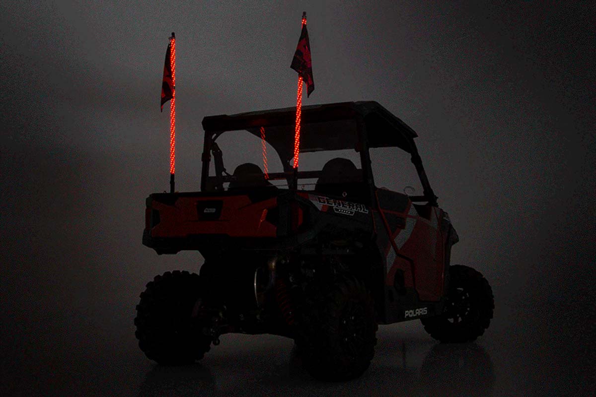 lightwhips-on_2.jpg