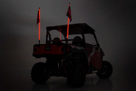 lightwhips-on_2.jpg
