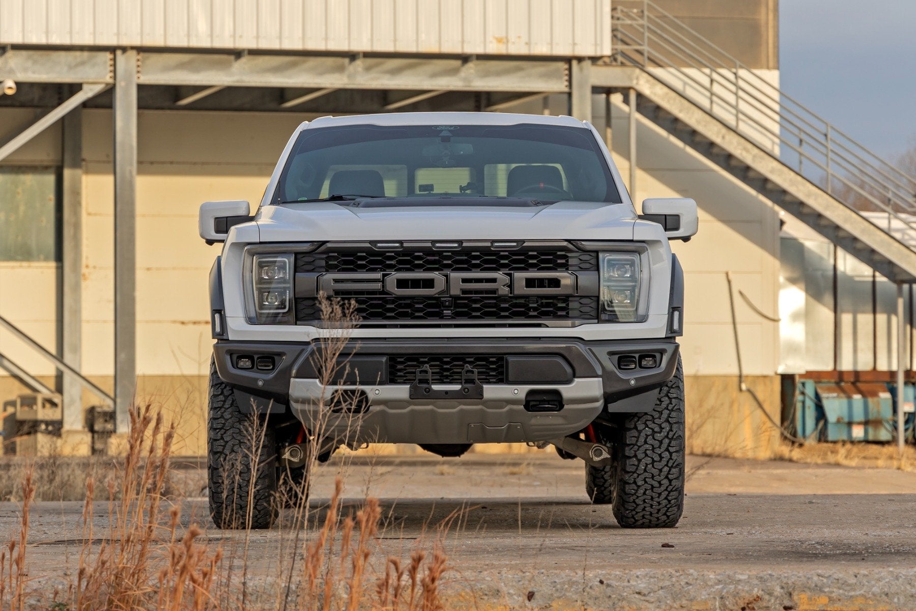 raptor_2.5.jpg